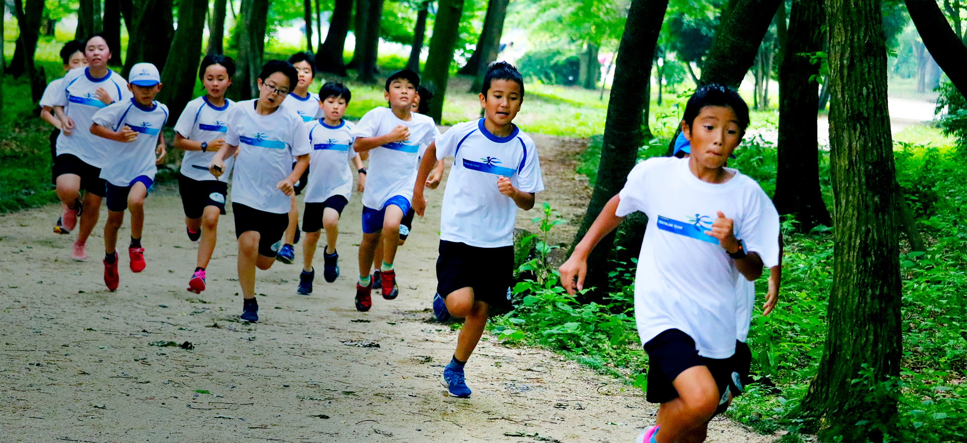 国内最高クラスの指導スタッフと実績